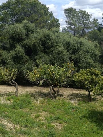 Ubebygd land til salgs i Tarragona by - € 90 000 (Ref: 9987553)