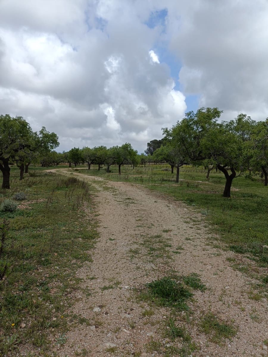 Ubebygd land til salgs i Tarragona by - € 90 000 (Ref: 9987553)
