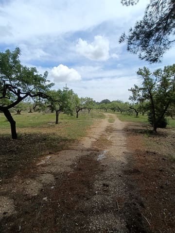 Ubebygd land til salgs i Tarragona by - € 90 000 (Ref: 9987553)
