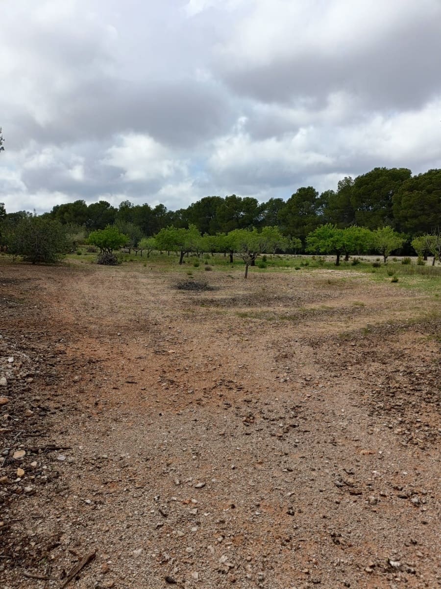 Ubebygd land til salgs i Tarragona by - € 90 000 (Ref: 9987553)