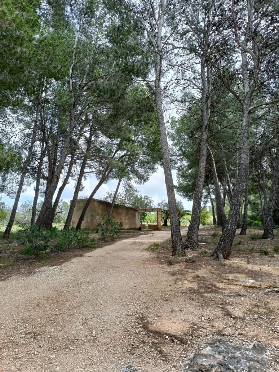 Ubebygd land til salgs i Tarragona by - € 90 000 (Ref: 9987553)