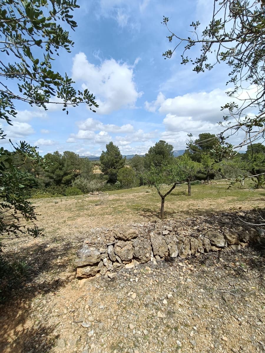 Ubebygd land til salgs i Tarragona by - € 90 000 (Ref: 9987553)
