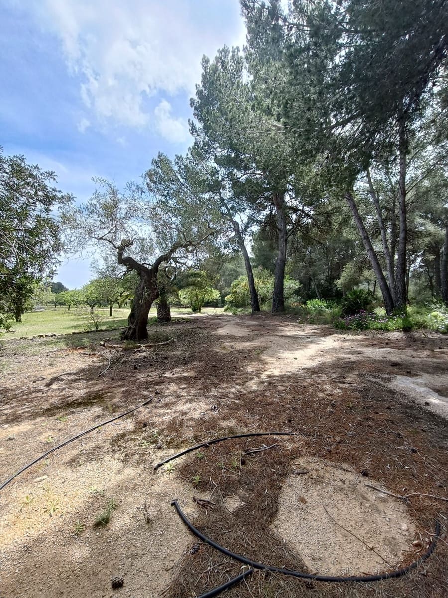 Ubebygd land til salgs i Tarragona by - € 90 000 (Ref: 9987553)