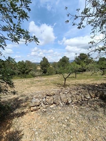 Landgrundstück zu verkaufen in El Perelló - 90.000 € (Ref: 9987553)