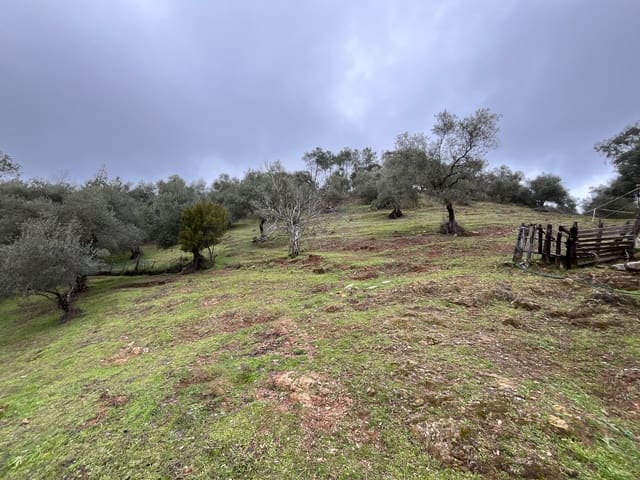 Grond te koop in Huelva stad - € 84.000 (Ref: 9987554)