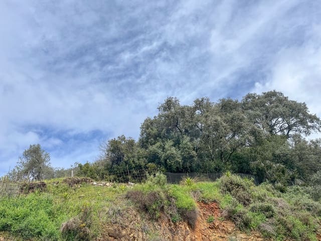 Grond te koop in Huelva stad - € 84.000 (Ref: 9987554)