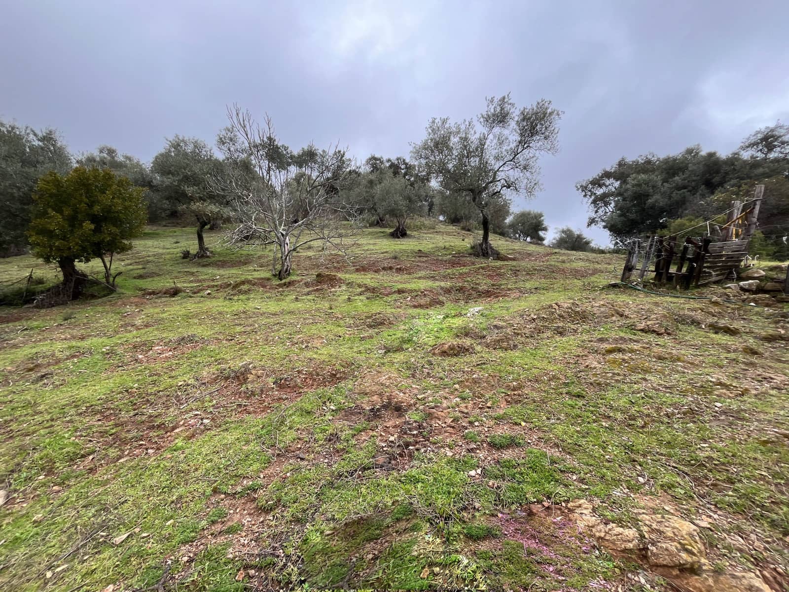 Grond te koop in Huelva stad - € 84.000 (Ref: 9987554)