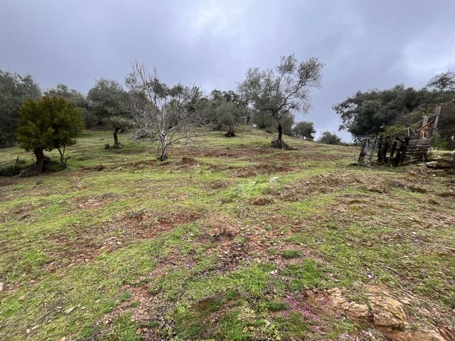 Grond te koop in Huelva stad - € 84.000 (Ref: 9987554)