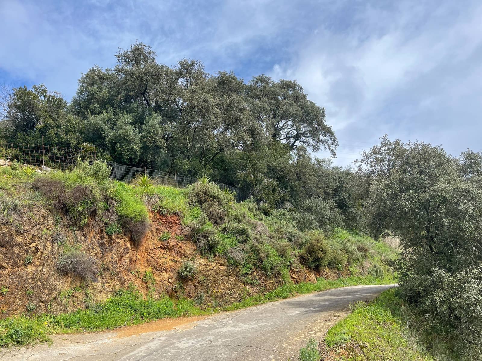Grond te koop in Huelva stad - € 84.000 (Ref: 9987554)