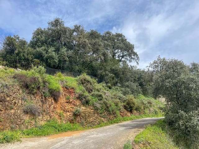 Grond te koop in Huelva stad - € 84.000 (Ref: 9987554)