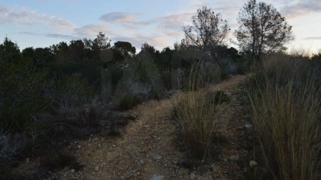 Ubebygd land til salgs i Tarragona by - € 10 000 (Ref: 9987566)