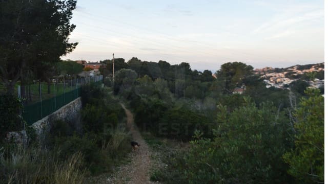 Ubebygd land til salgs i Tarragona by - € 10 000 (Ref: 9987566)