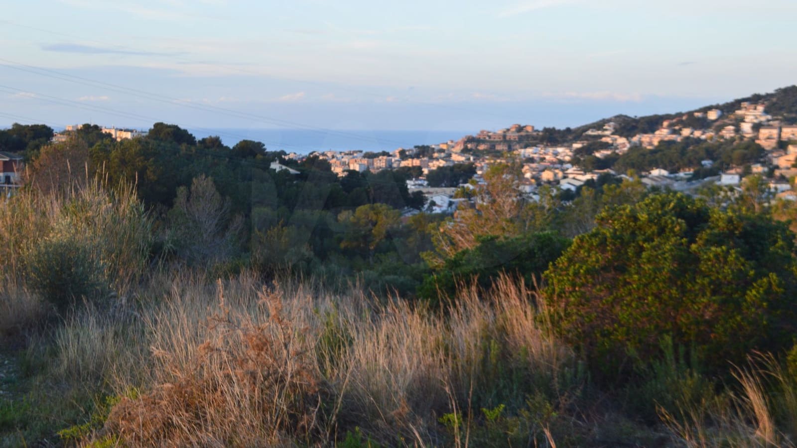 Ubebygd land til salgs i Tarragona by - € 10 000 (Ref: 9987566)