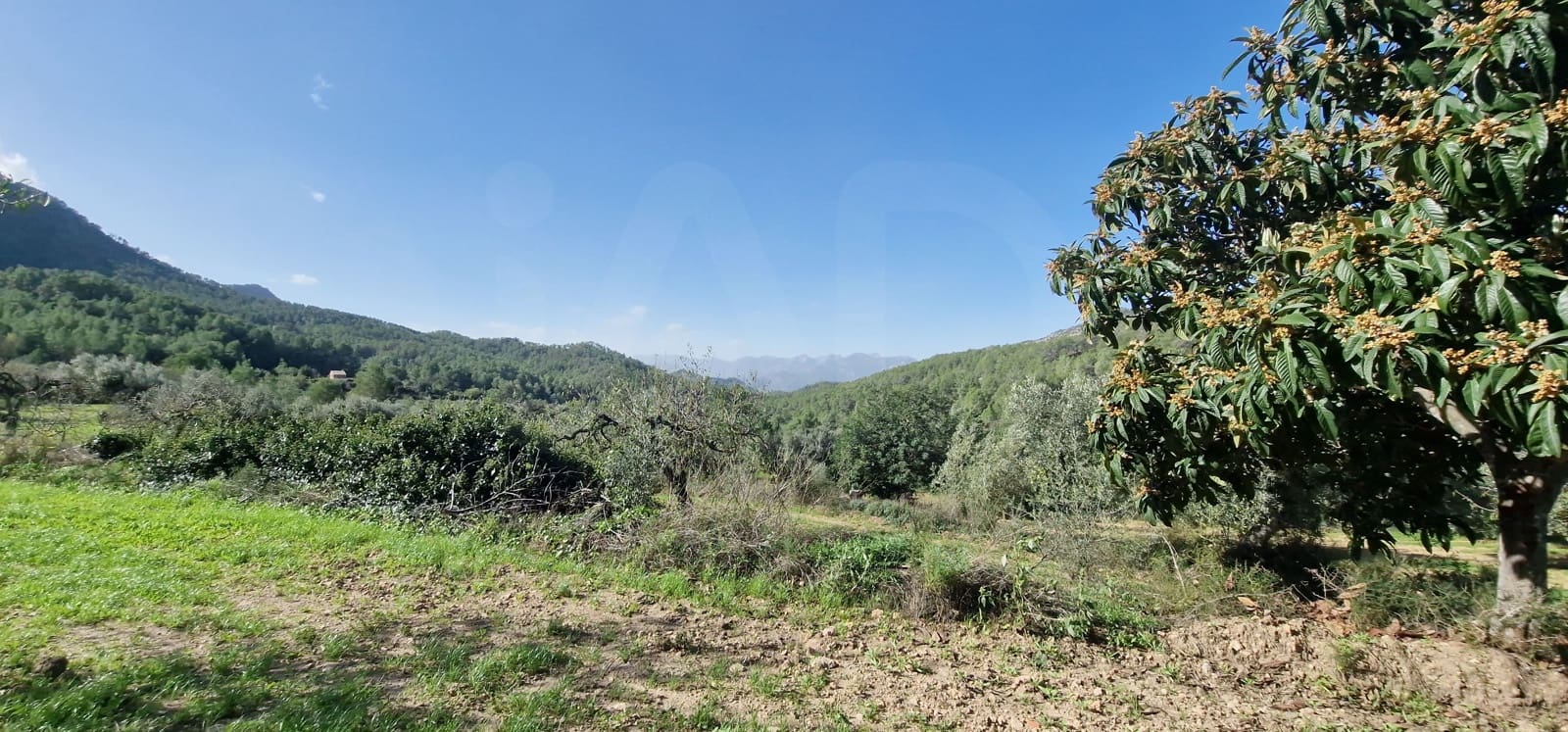 Terreno Não Urbanizado para venda em Tarragona cidade - 65 000 € (Ref: 9987569)