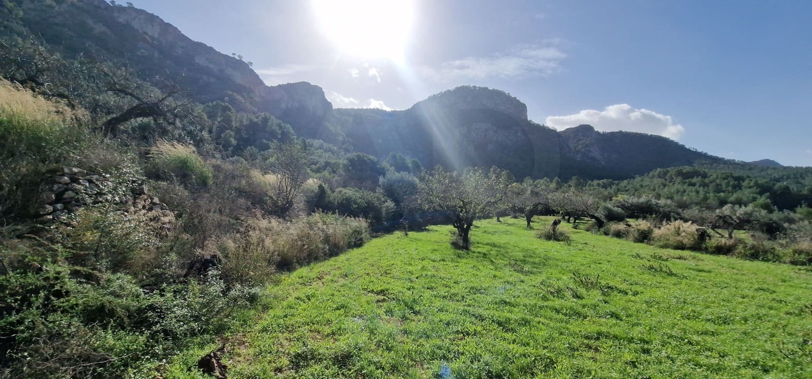 Terreno Não Urbanizado para venda em Tarragona cidade - 65 000 € (Ref: 9987569)