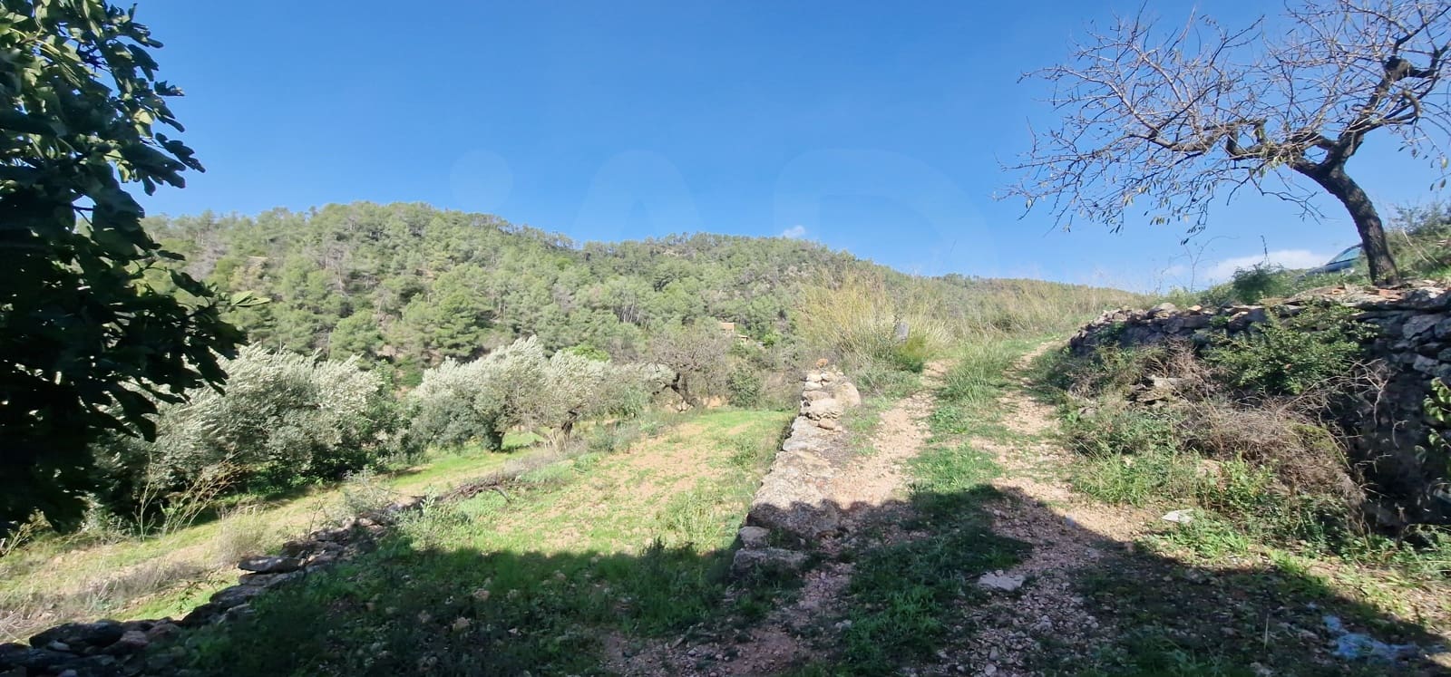Terreno Não Urbanizado para venda em Tarragona cidade - 65 000 € (Ref: 9987569)