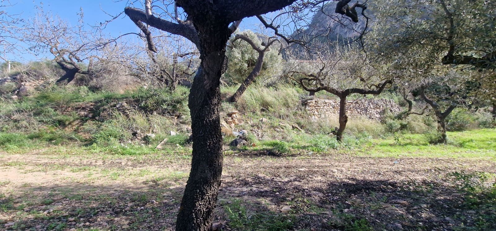 Terreno Não Urbanizado para venda em Tarragona cidade - 65 000 € (Ref: 9987569)