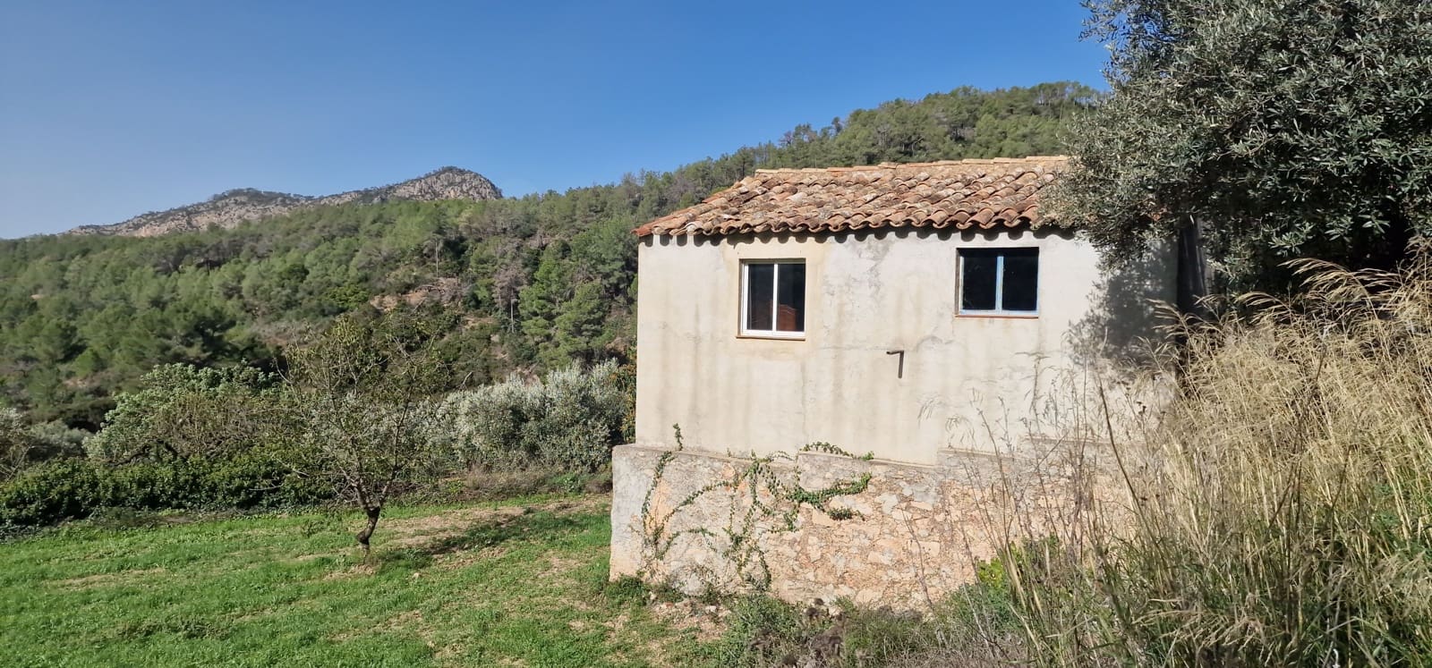 Undeveloped Land for sale in Rasquera - € 65,000 (Ref: 9987569)