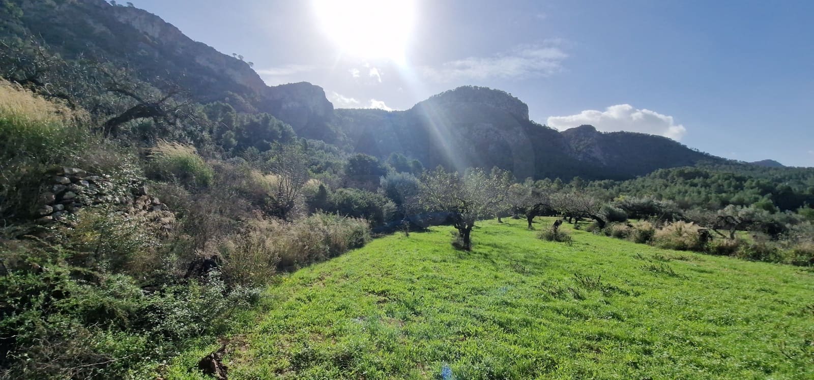 Undeveloped Land for sale in Rasquera - € 65,000 (Ref: 9987569)