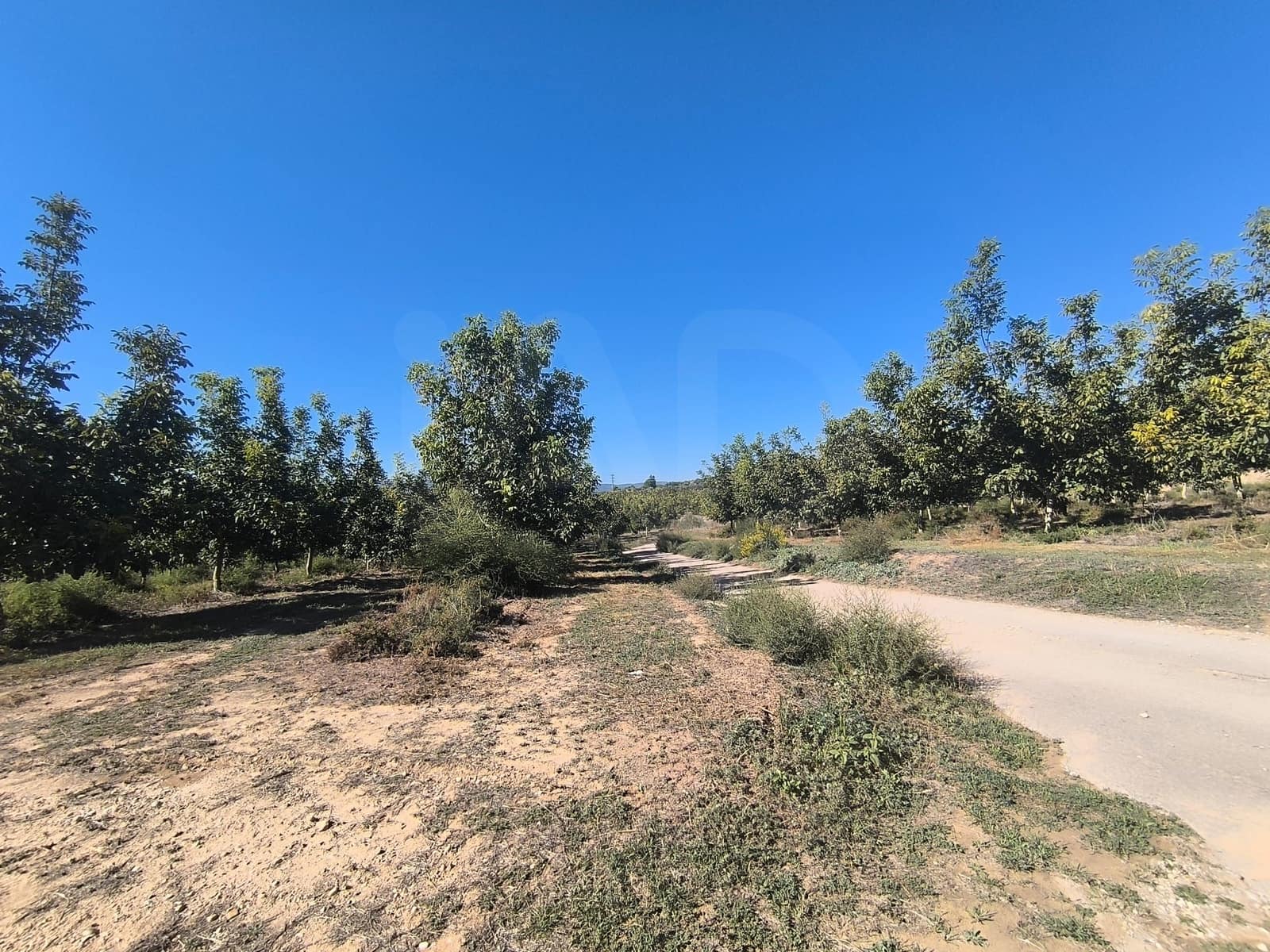 Terreno Non Edificato in vendita in Tarragona citta - 750.000 € (Rif: 9987571)