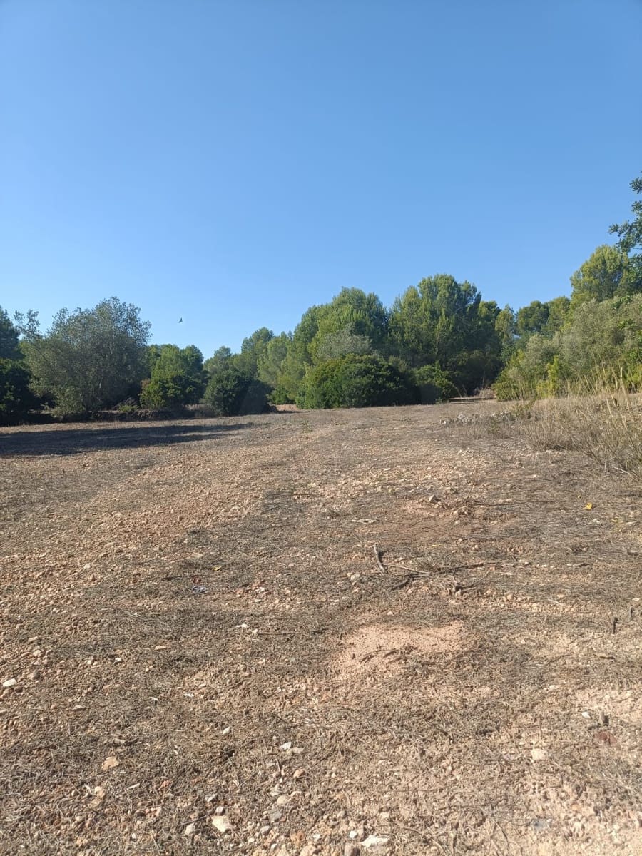Grunde uden byggetilladelser til salg i Tarragona by - € 135.000 (Ref: 9987586)
