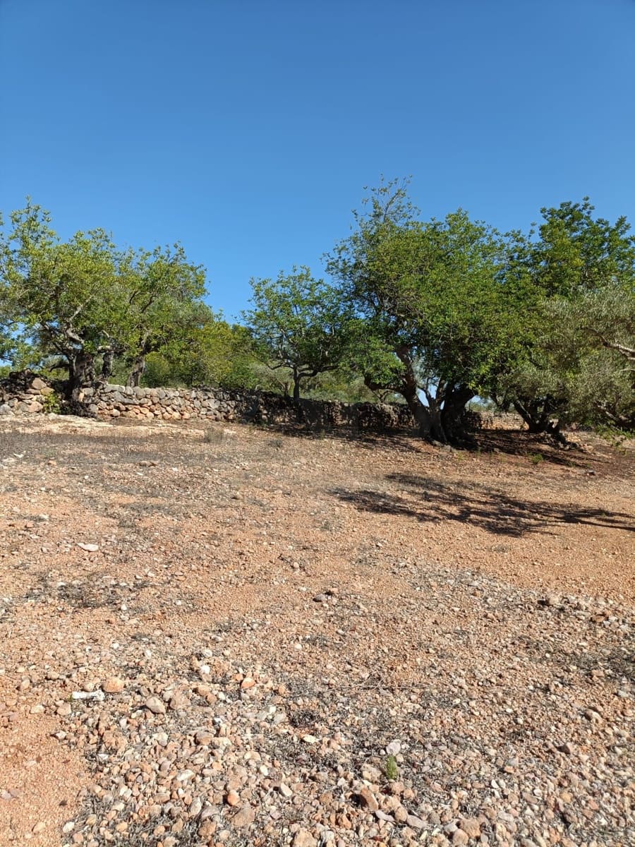 Grunde uden byggetilladelser til salg i Tarragona by - € 135.000 (Ref: 9987586)