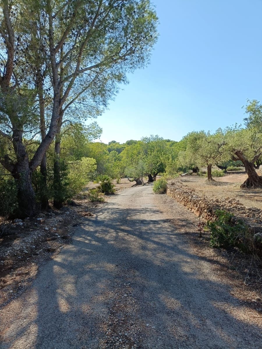 Grunde uden byggetilladelser til salg i Tarragona by - € 135.000 (Ref: 9987586)