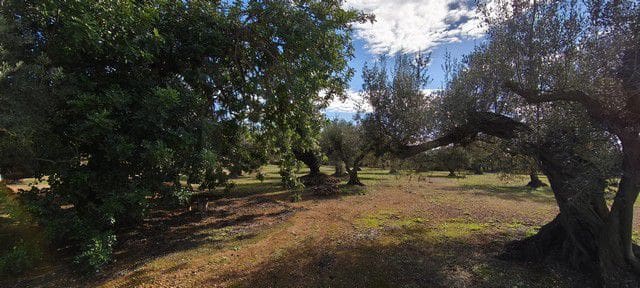 Teren niezagospodarowany na sprzedaż w Miasto Tarragona - 120 000 € (Ref: 9987587)