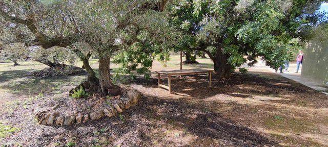 Mark till salu i Roquetes - 120 000 € (Ref: 9987587)