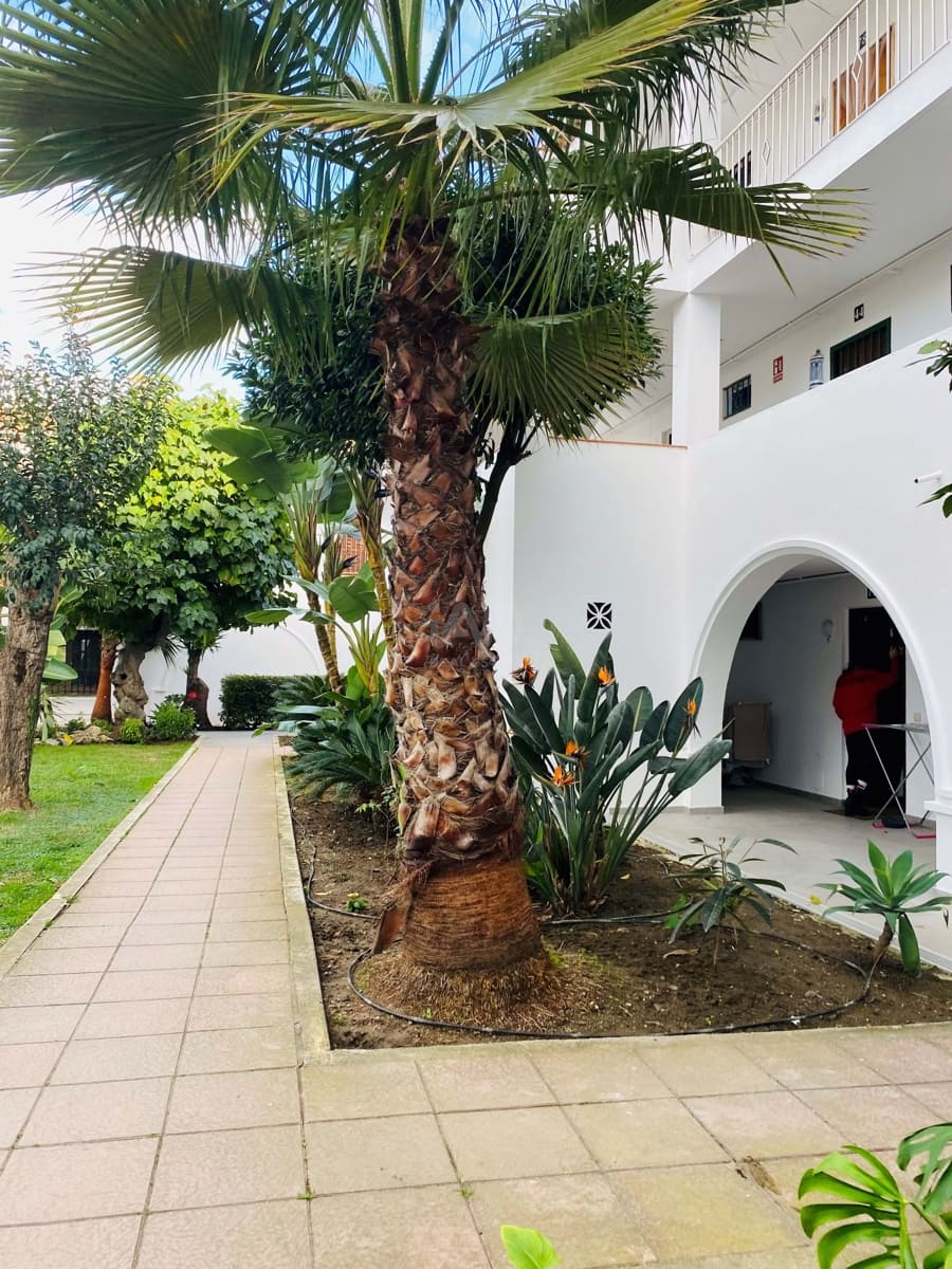 1 quarto Apartamento para venda em Malaga cidade com piscina - 209 000 € (Ref: 9987624)