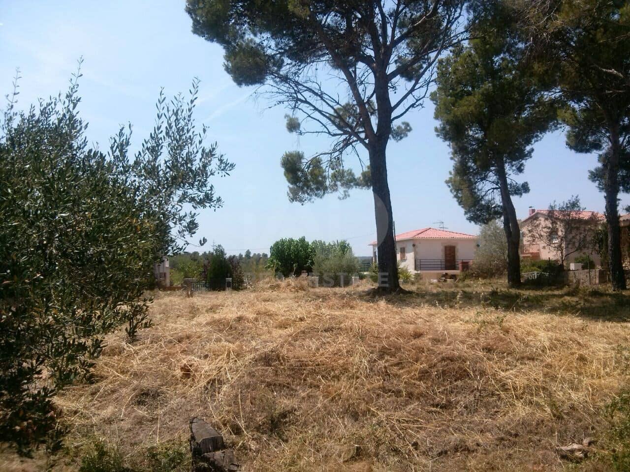 Terreno Não Urbanizado para venda em Torrelles de Foix - 39 900 € (Ref: 9987715)