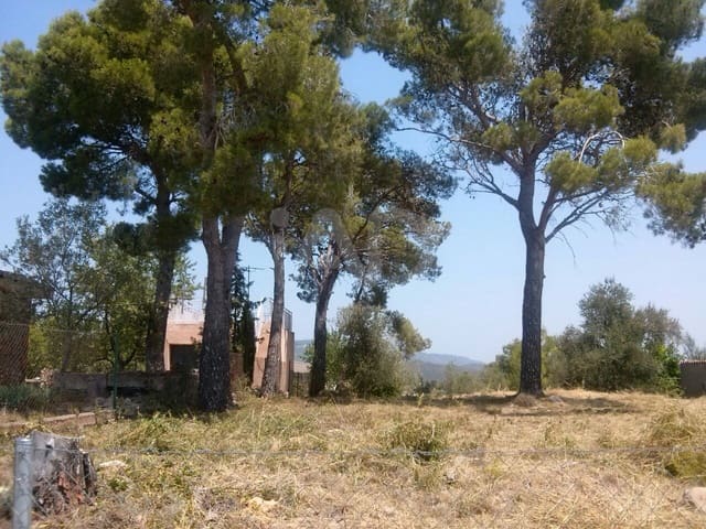 Terreno Não Urbanizado para venda em Torrelles de Foix - 39 900 € (Ref: 9987715)