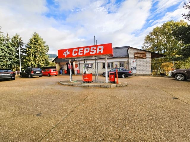 Kommersiell til salgs i Leon by - € 500 000 (Ref: 9987727)