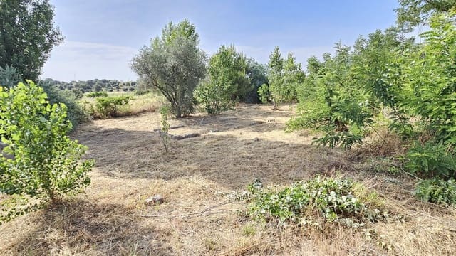 Grond te koop in Toledo stad - € 35.000 (Ref: 9987781)