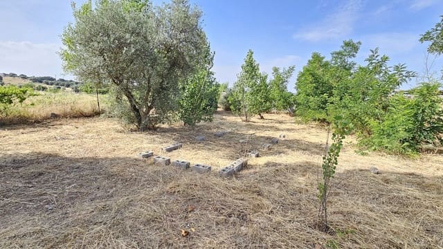 Grunde uden byggetilladelser til salg i Hormigos - € 35.000 (Ref: 9987781)