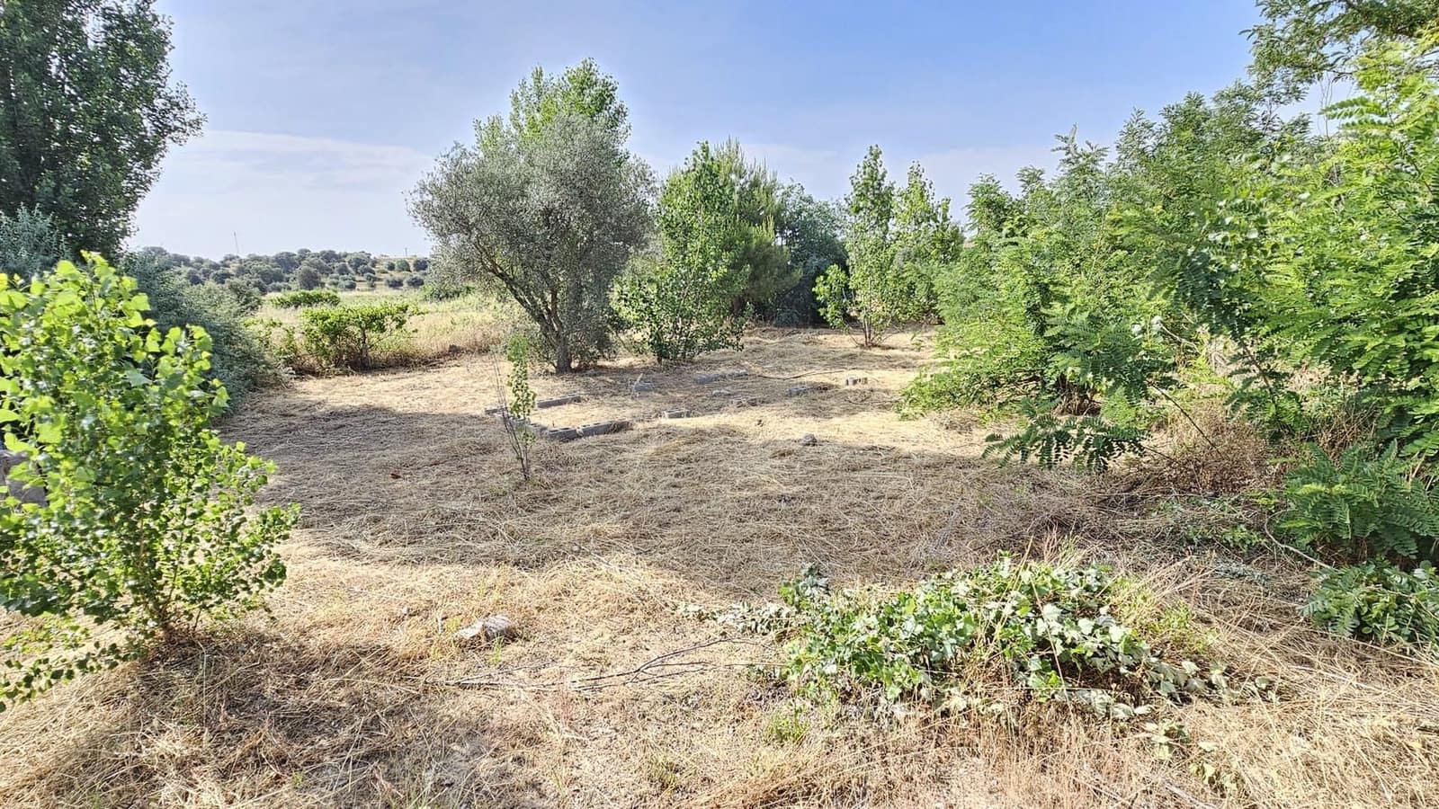 Ubebygd land til leie i Toledo by - € 500 (Ref: 9987782)