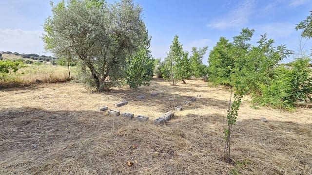 Ubebygd land til leie i Toledo by - € 500 (Ref: 9987782)
