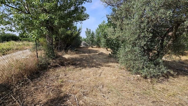 Ubebygd land til leie i Toledo by - € 500 (Ref: 9987782)