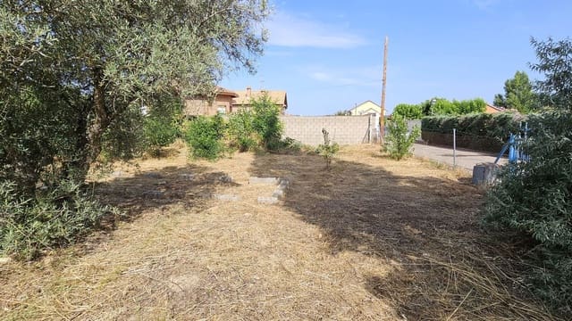 Ubebygd land til leie i Toledo by - € 500 (Ref: 9987782)