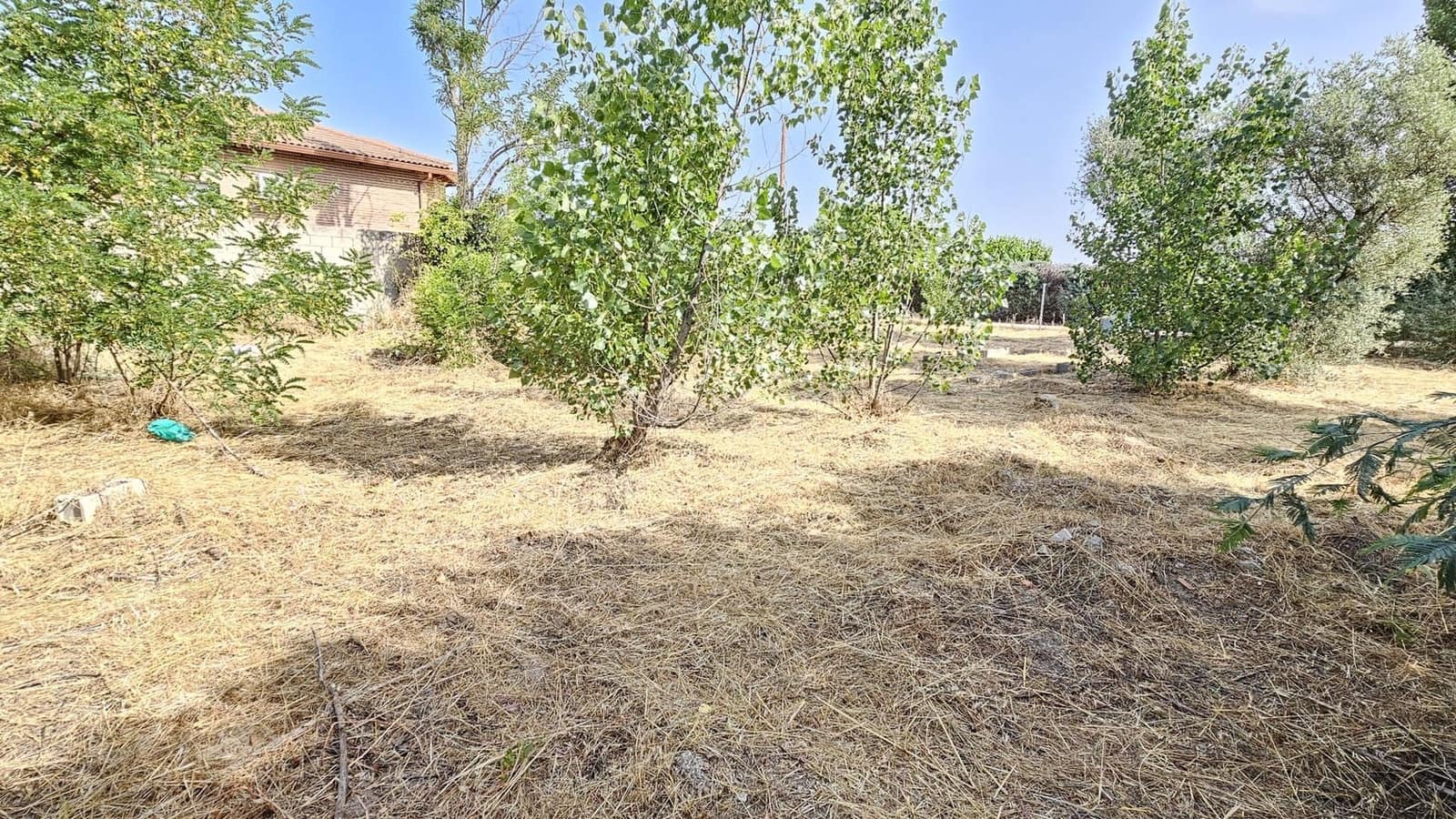 Ubebygd land til leie i Toledo by - € 500 (Ref: 9987782)