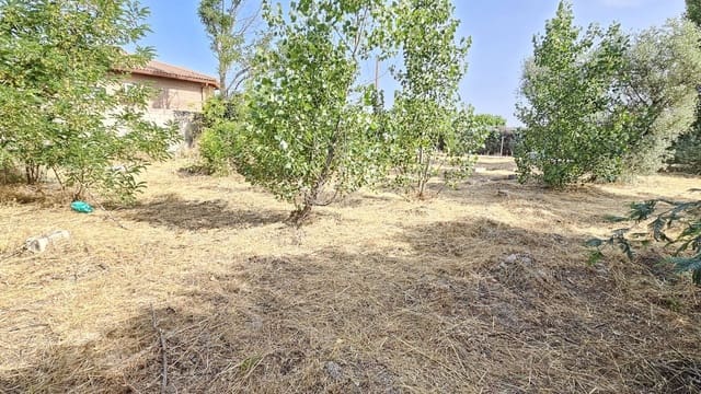 Ubebygd land til leie i Toledo by - € 500 (Ref: 9987782)