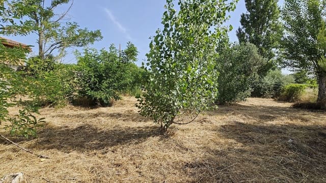 Ubebygd land til leie i Toledo by - € 500 (Ref: 9987782)