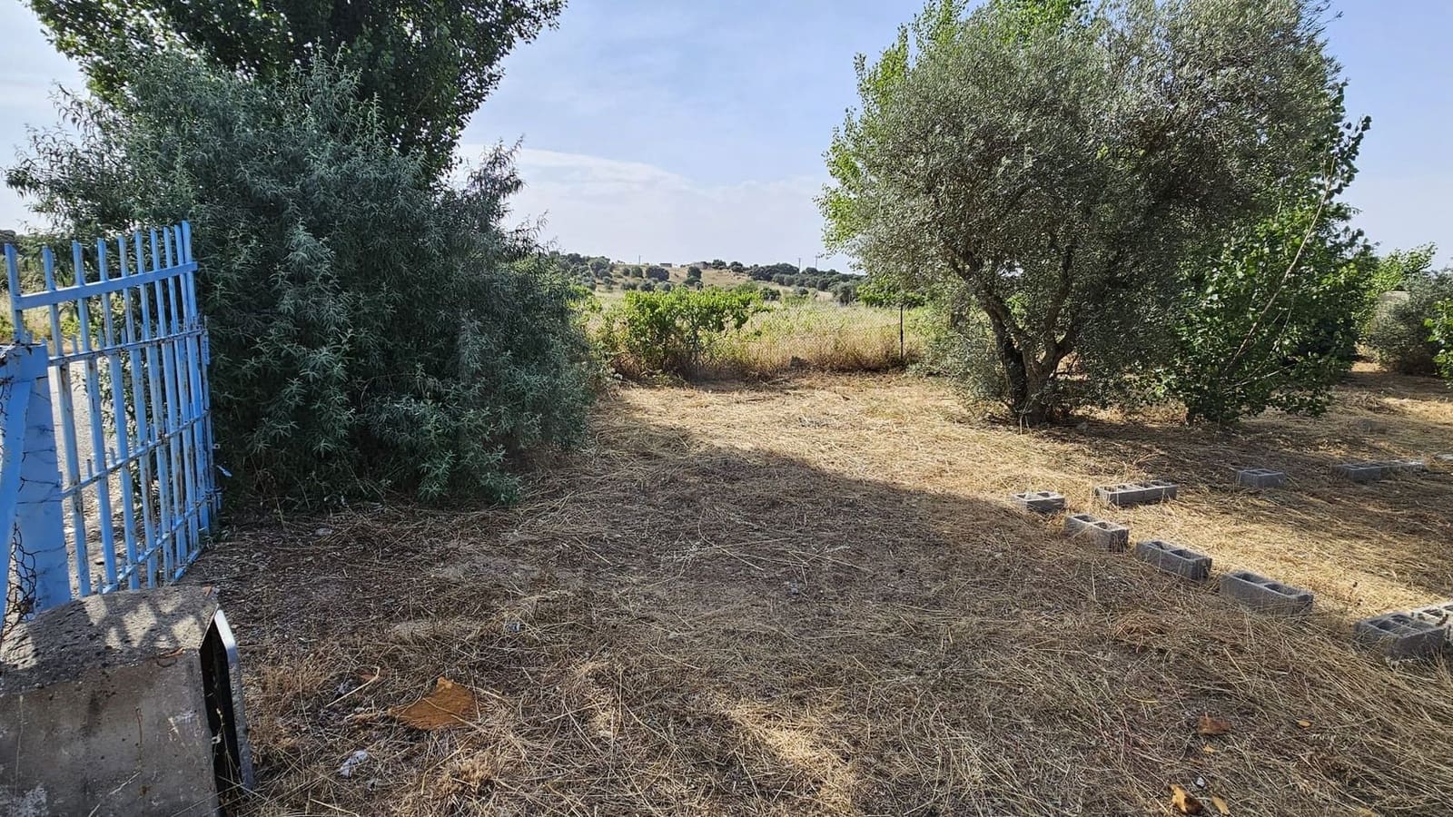 Ubebygd land til leie i Toledo by - € 500 (Ref: 9987782)