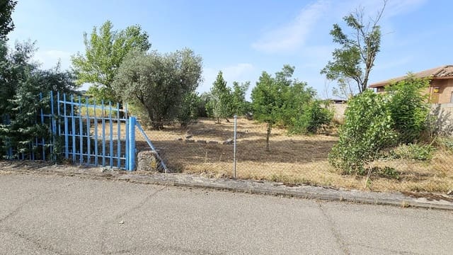 Ubebygd land til leie i Toledo by - € 500 (Ref: 9987782)