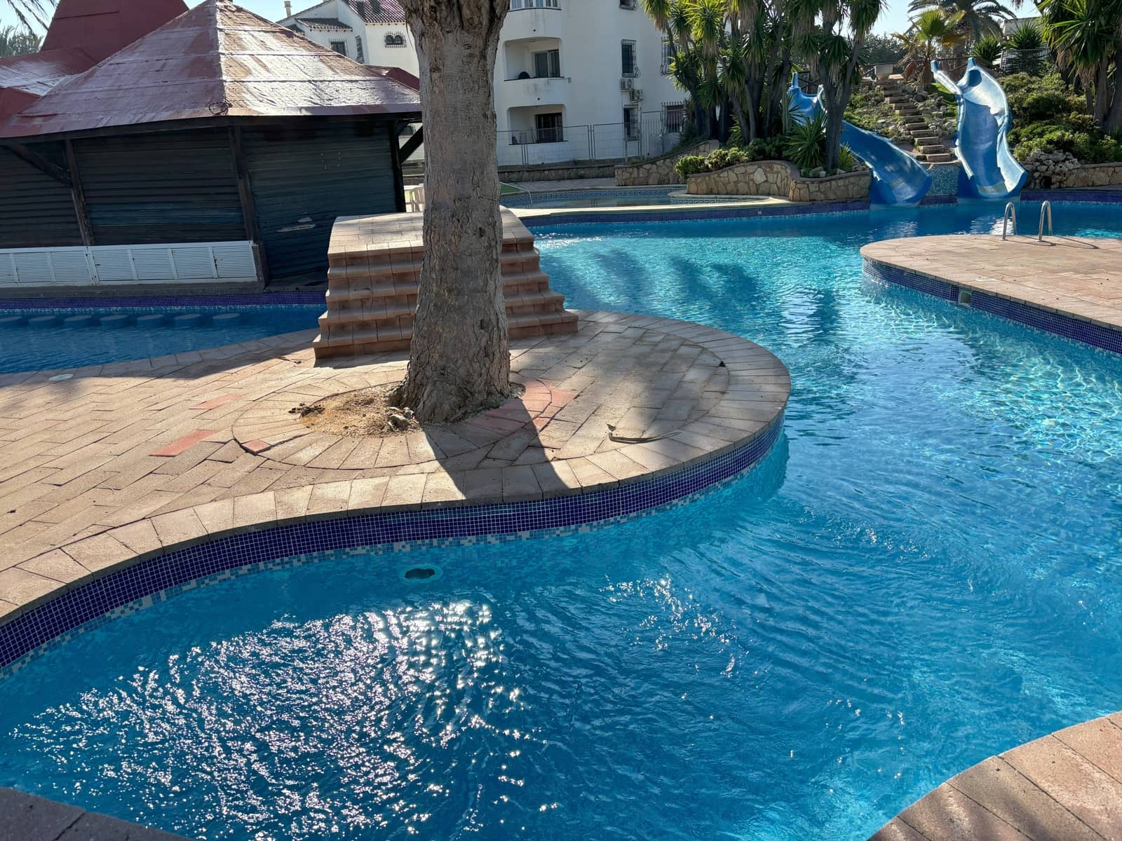 2 bedroom Apartment for rent in Alicante / Alacant city with pool garage - € 850 (Ref: 9987825)