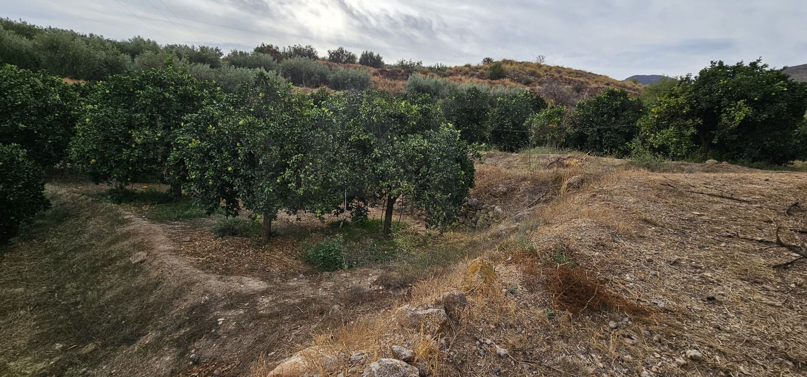 Ubebygd land til salgs i Almeria by - € 45 000 (Ref: 9987870)