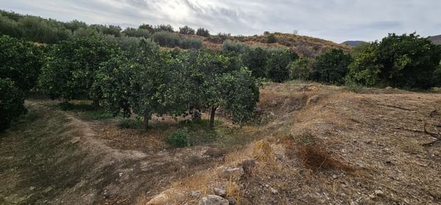 Ubebygd land til salgs i Almería by - € 45 000 (Ref: 9987870)