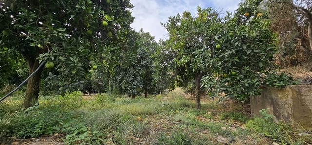 Ubebygd land til salgs i Almería by - € 45 000 (Ref: 9987870)