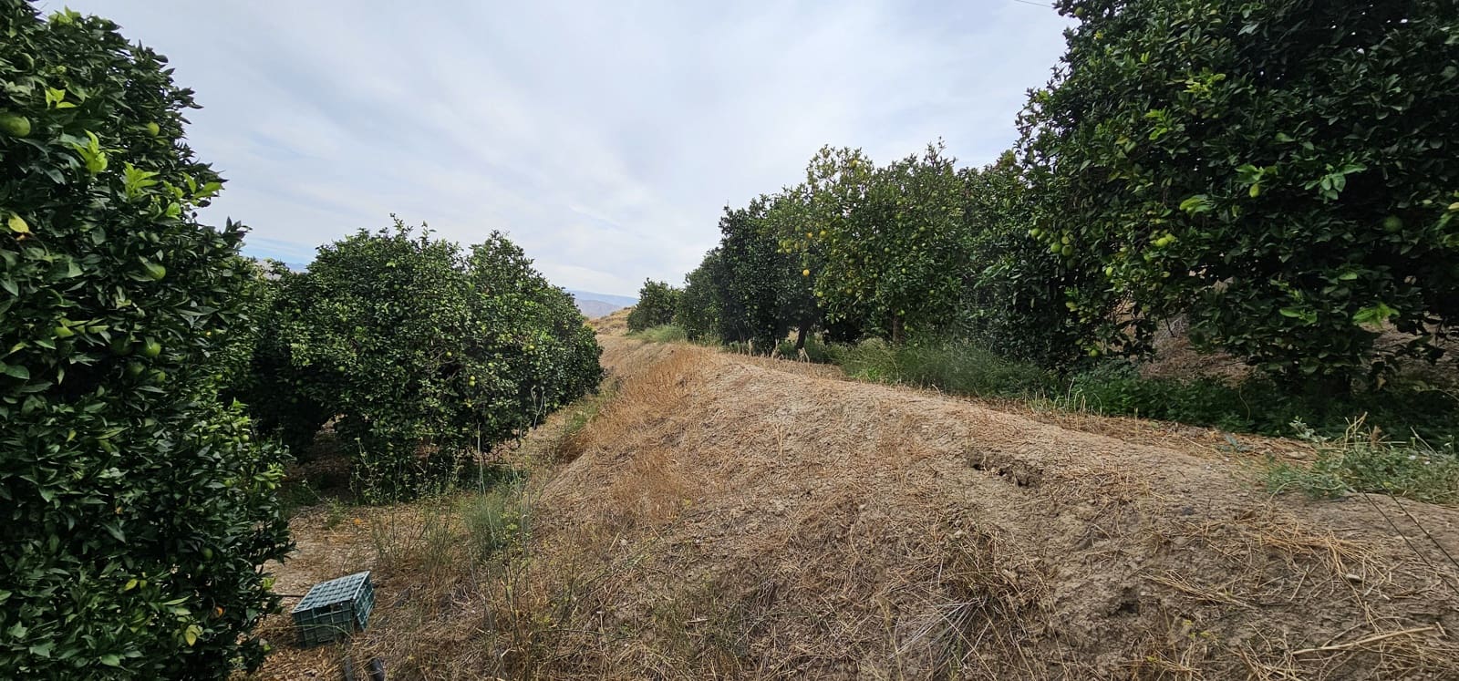 Ubebygd land til salgs i Almeria by - € 45 000 (Ref: 9987870)