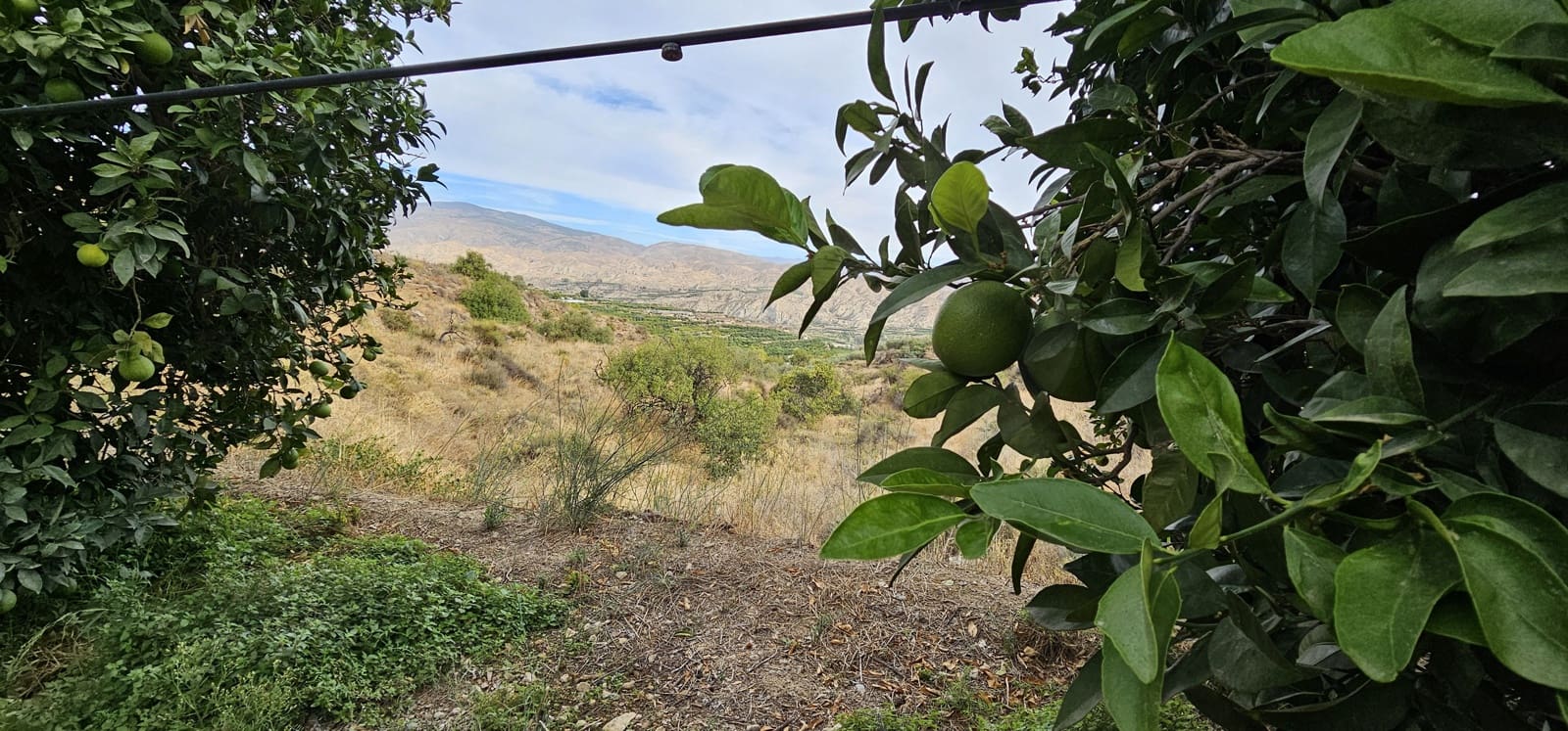 Ubebygd land til salgs i Almeria by - € 45 000 (Ref: 9987870)